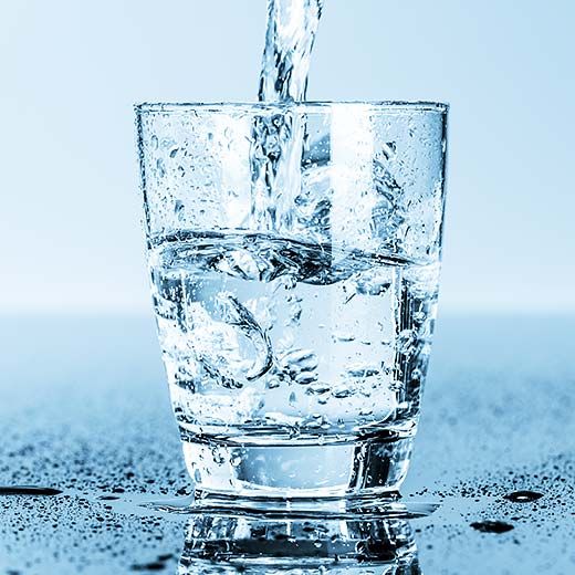 For All Your Plumbing Needs In Pembroke