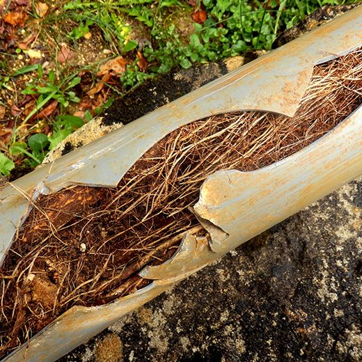 Same Day Drain Sewer & Rooter Pros Across Pembroke